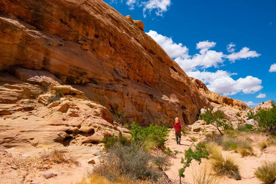 Las Vegas: Valley of Fire Half-Day Guided Hike with Pickup - The visitor center sets the scene