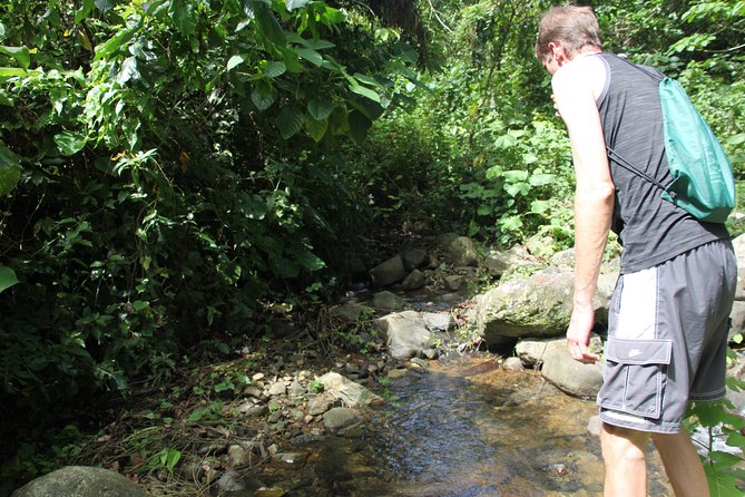 Let's do hiking in Punta Cana - A moderate hike with some demanding sections