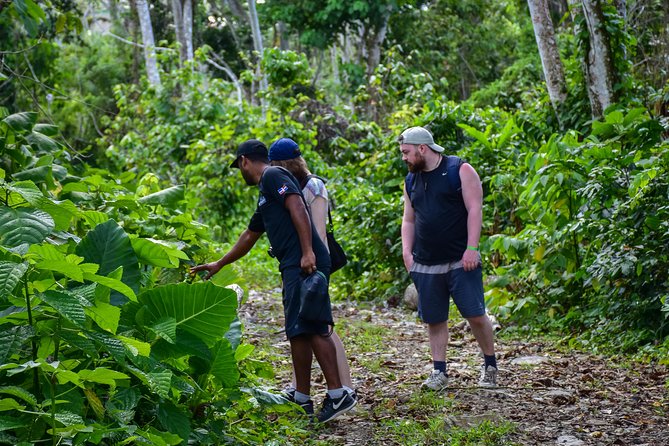 Let's do hiking in Punta Cana - Rain, mud, and the honest trail conditions