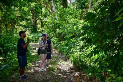 Let’s do hiking in Punta Cana