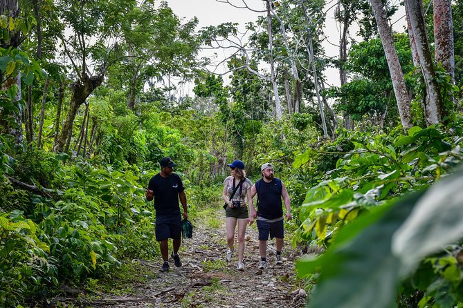 Let's do hiking in Punta Cana - Is $75 a fair price?