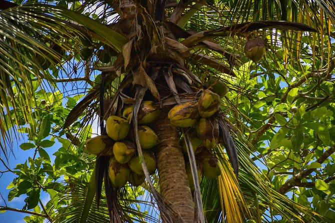 Let's do hiking in Punta Cana - Who should book this hike?