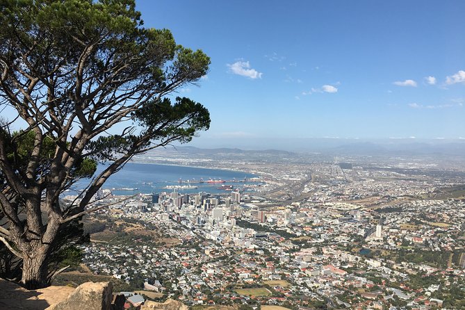 Lion's Head Hike - Private Tour - Who will get the most from this tour
