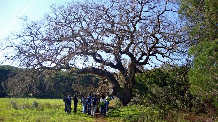 Lisbon: Hiking in Arrábida Natural Park - Practical preparation for a better day