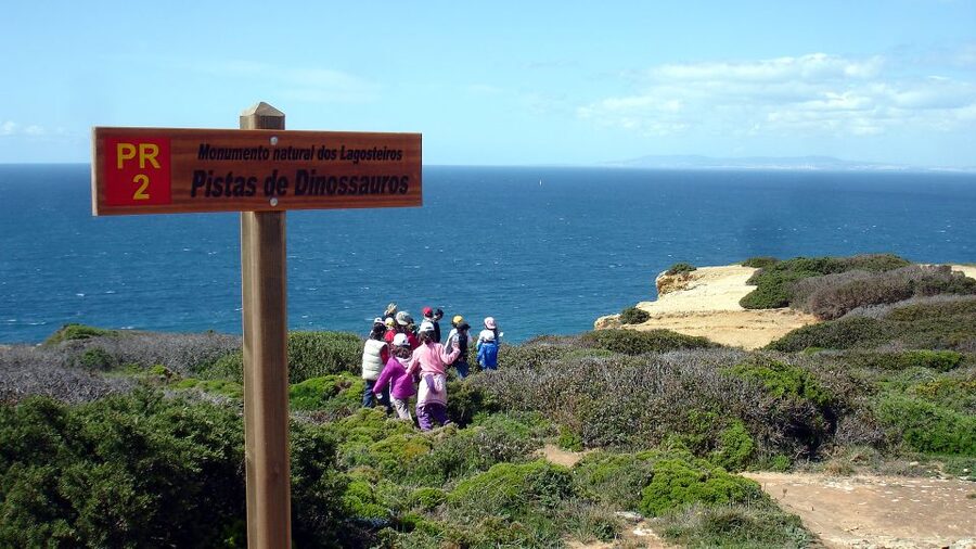 Lisbon: Hiking in Arrábida Natural Park - Sea views, the cape, and dinosaur footprints
