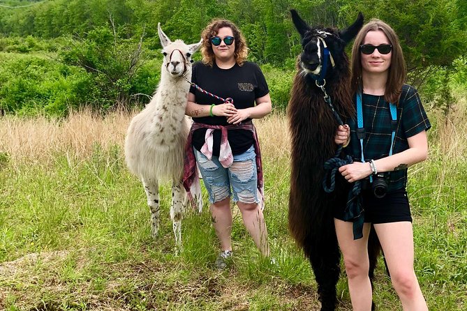 Llama/Alpaca Hike and Farm Tour - What to wear and how to prepare