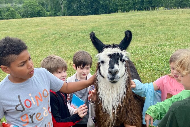 Llama/Alpaca Hike and Farm Tour - Weather and cancellation details