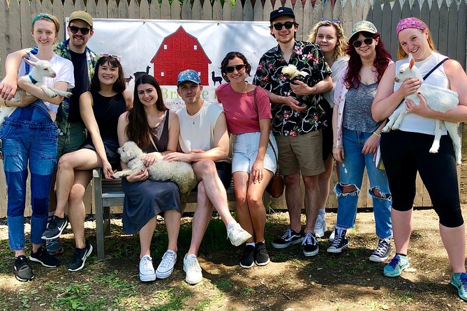 Llama/Alpaca Hike and Farm Tour - A thoughtful stop at the farm store