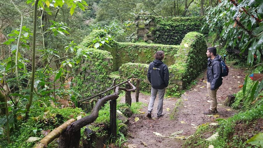Lomba de São Pedro: Waterfall Hiking Tour with Tea Tasting - How difficult is the hike?