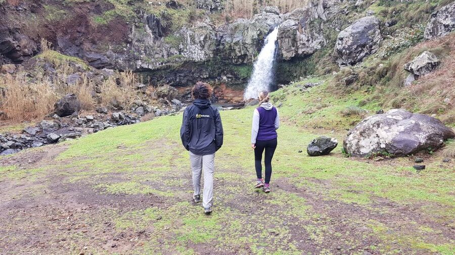 Lomba de São Pedro: Waterfall Hiking Tour with Tea Tasting - Why this São Miguel day works so well