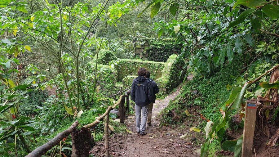 Lomba de São Pedro: Waterfall Hiking Tour with Tea Tasting - The steep descent into Lomba de São Pedro