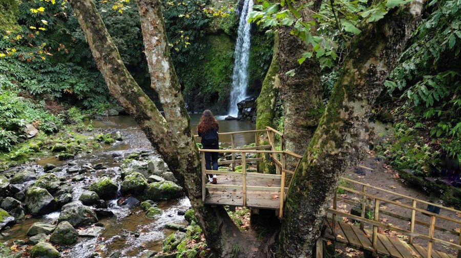 Lomba de São Pedro: Waterfall Hiking Tour with Tea Tasting - Cryptomeria forest and the Poço da Truta