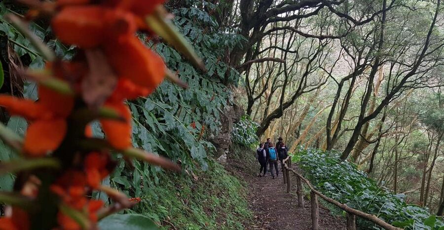 Lomba de São Pedro: Waterfall Hiking Tour with Tea Tasting - The final climb, springs, and village life