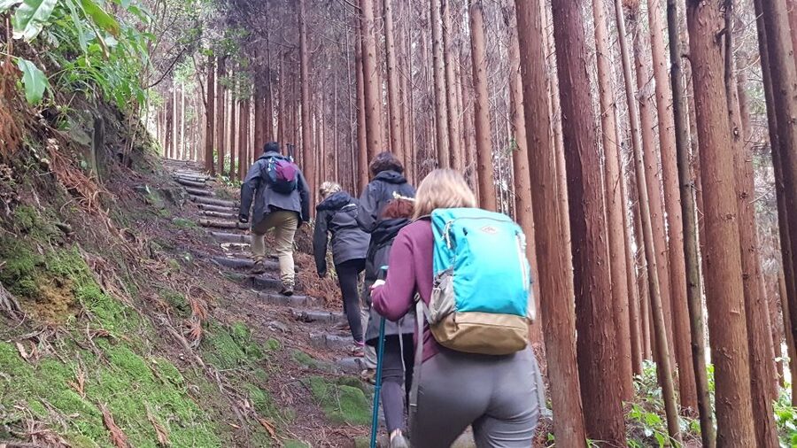 Lomba de São Pedro: Waterfall Hiking Tour with Tea Tasting - Santa Iria Lookout closes the day