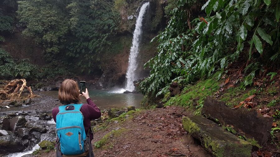 Lomba de São Pedro: Waterfall Hiking Tour with Tea Tasting - Gorreana Tea Plantation starts the morning