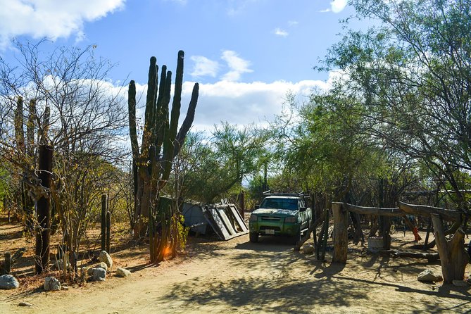 Los Cabos: Hiking at the Fox Canyon with Waterfall - The road inland is part of the adventure