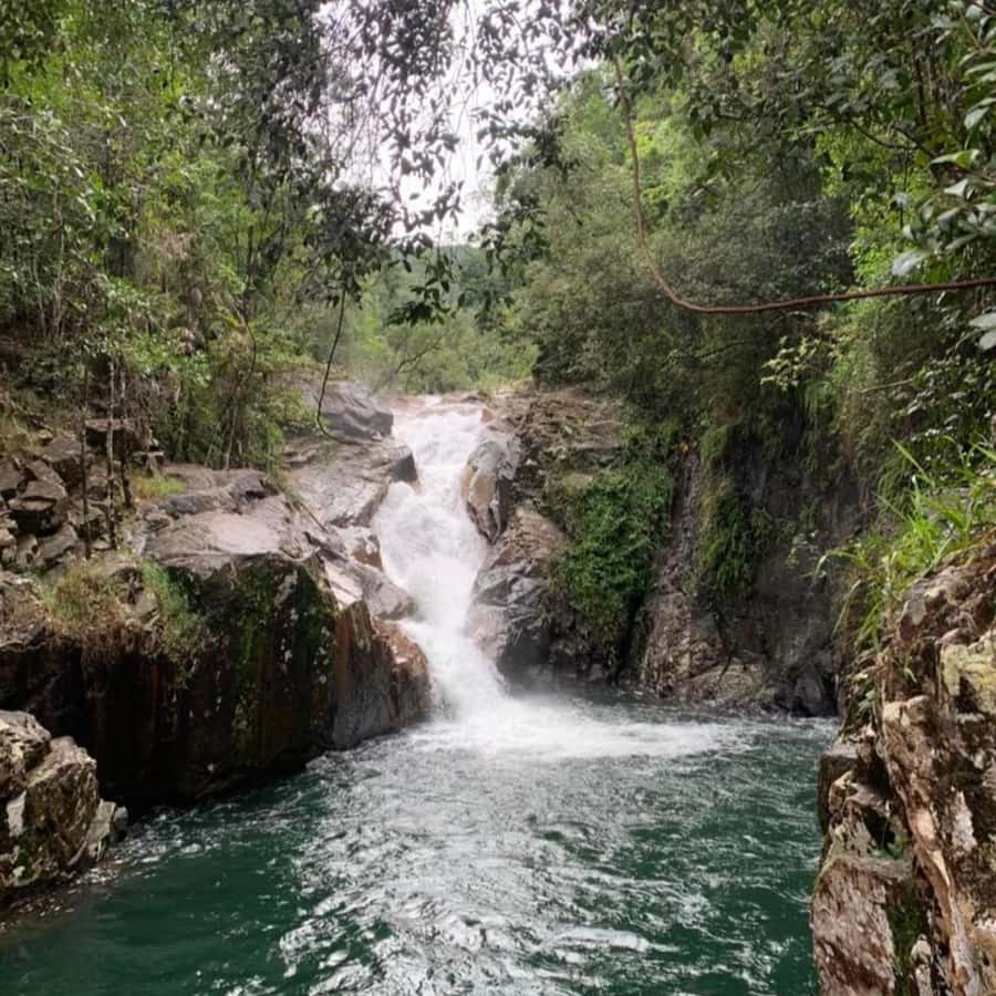 Mackay: Finch Hatton Gorge Hike, Swim & Platypus Adventure - Key points to know before booking