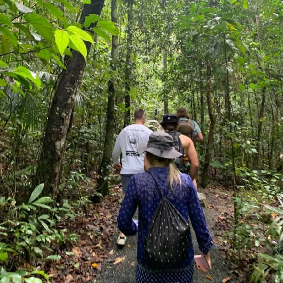 Mackay: Finch Hatton Gorge Hike, Swim & Platypus Adventure - From Mackay to the Pioneer Valley