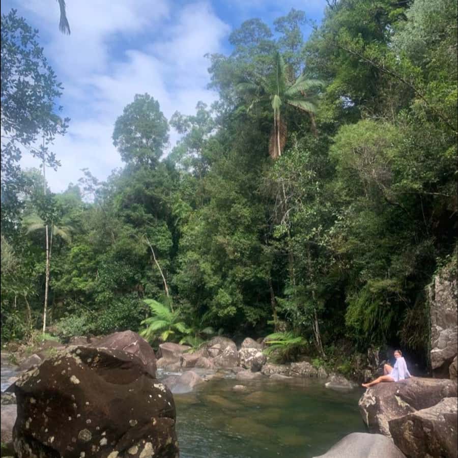 Mackay: Finch Hatton Gorge Hike, Swim & Platypus Adventure - Swimming beneath the waterfall