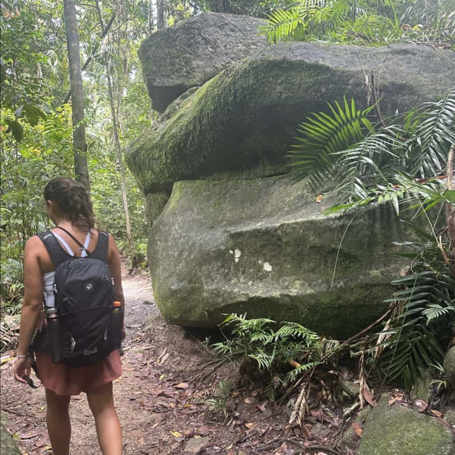 Mackay: Finch Hatton Gorge Hike, Swim & Platypus Adventure - The 40-minute walk into Finch Hatton Gorge