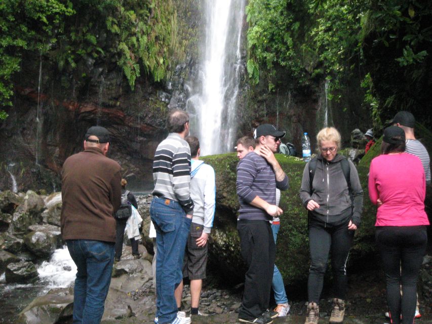 Madeira: Mountain Walk with Lagoon and Waterfalls - A scenic drive to Paúl da Serra and Risco waterfall