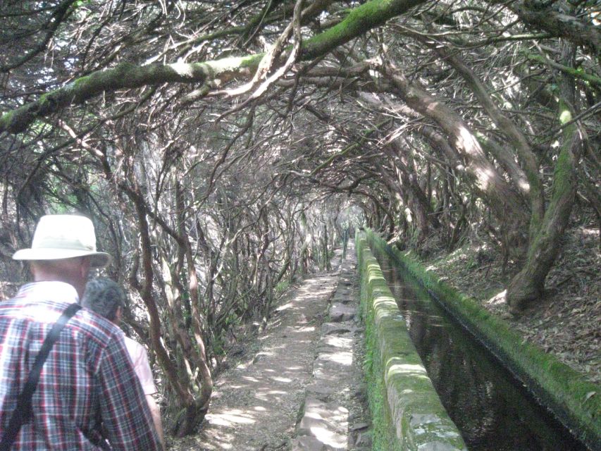 Madeira: Mountain Walk with Lagoon and Waterfalls - Why the guide is still useful