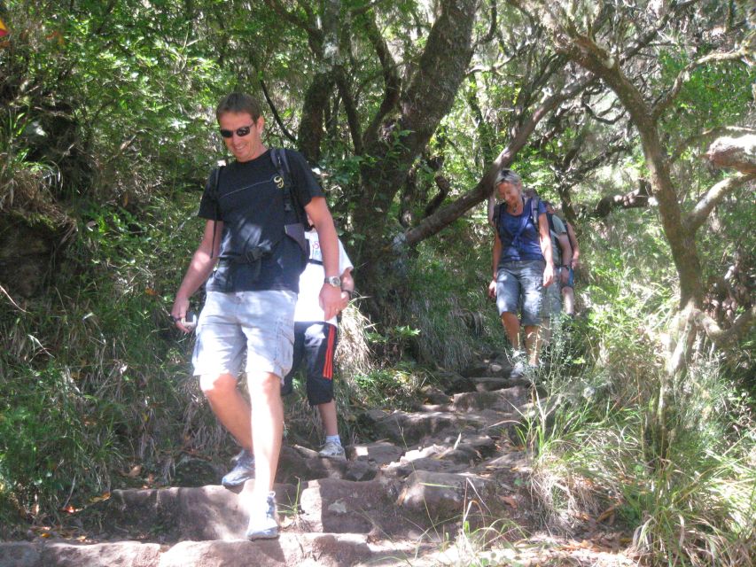 Madeira: Mountain Walk with Lagoon and Waterfalls - Timing, crowds, and the best use of your stops