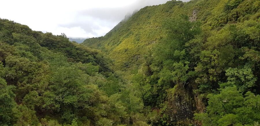 Madeira: Mountain Walk with Lagoon and Waterfalls - Is $55 a fair price?
