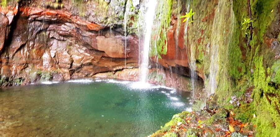 Madeira: Mountain Walk with Lagoon and Waterfalls - What the trail is really like underfoot