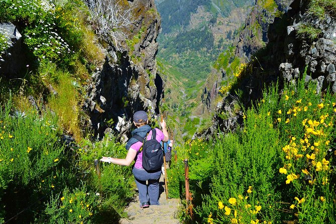 Madeira Peaks - Mountain Walk - What the guide adds to the mountain day