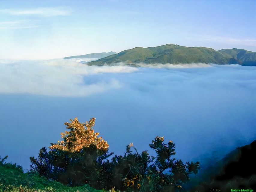 Madeira: Pico Arieiro to Pico Ruivo Hike - Key points to know before booking