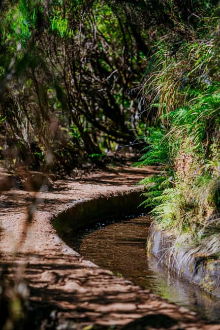 Madeira: PR 18 - Levada do Rei Hike Transfer with Host - The drive from Funchal to São Jorge