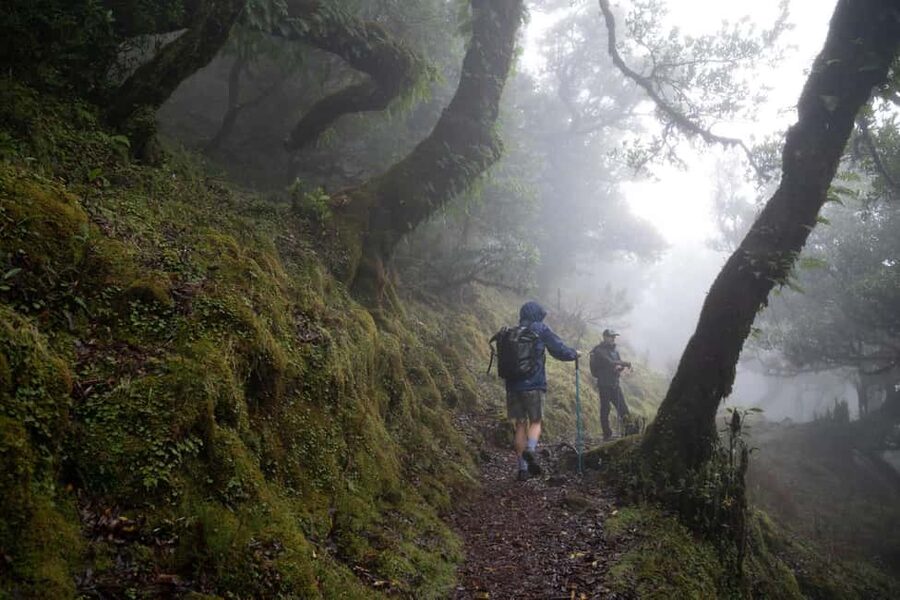 Madeira: PR 9 - Levada do Caldeirão Verde Hike Transfer - Key points at a glance
