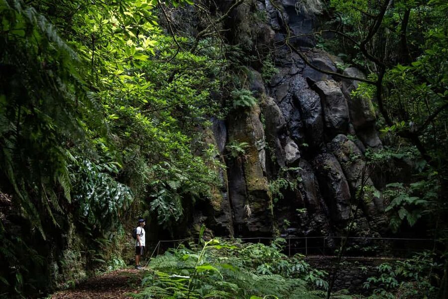 Madeira: PR 9 - Levada do Caldeirão Verde Hike Transfer - Why PR9 is one of Madeira’s memorable walks