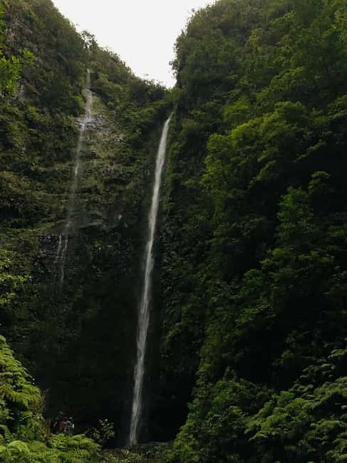 Madeira: PR 9 - Levada do Caldeirão Verde Hike Transfer - Four tunnels where a headlamp earns its place