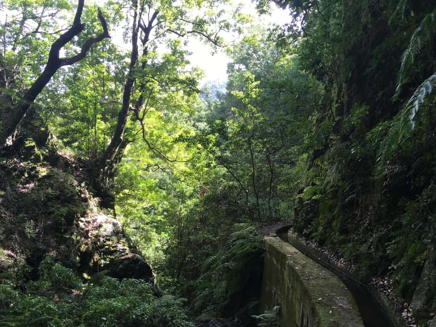 Madeira: PR 9 - Levada do Caldeirão Verde Hike Transfer - Four and a half hours on the main trail