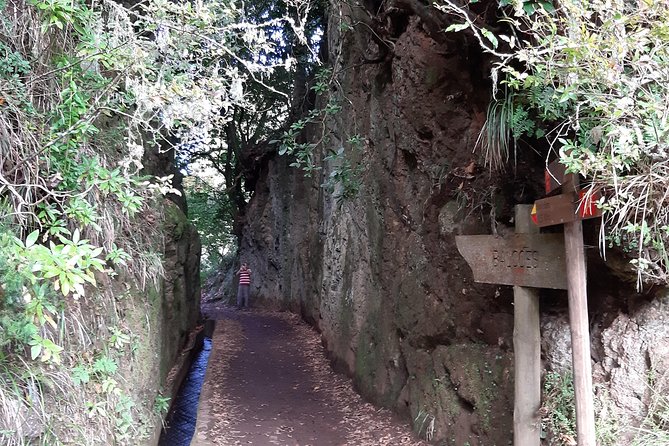 Madeira: Private 1.5-Kilometer Levada dos Balcões Hike PR11 - Reaching Balcões viewpoint