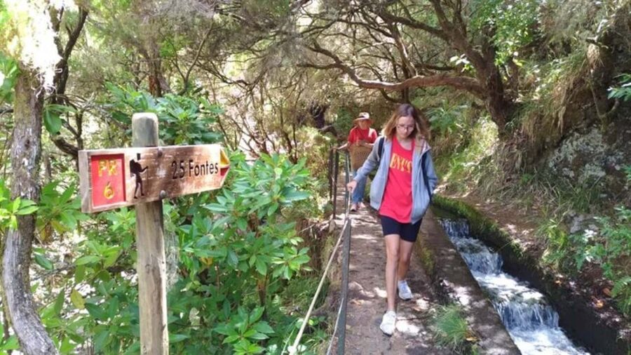 Madeira: Rabaçal, Risco and 25 Fontes Guided Hiking Tour - Levada do Risco and the first waterfall