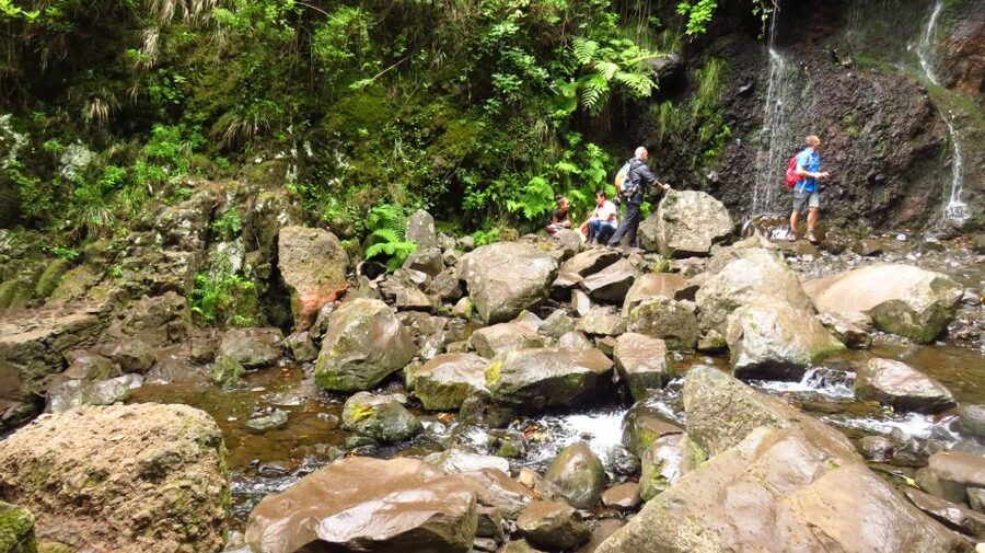 Madeira: Rabaçal, Risco and 25 Fontes Guided Hiking Tour - Who should book this tour?