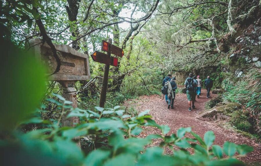 Madeira: Rabaçal Valley and the 25 Fountains Hike - Pickup, van ride, and the first break