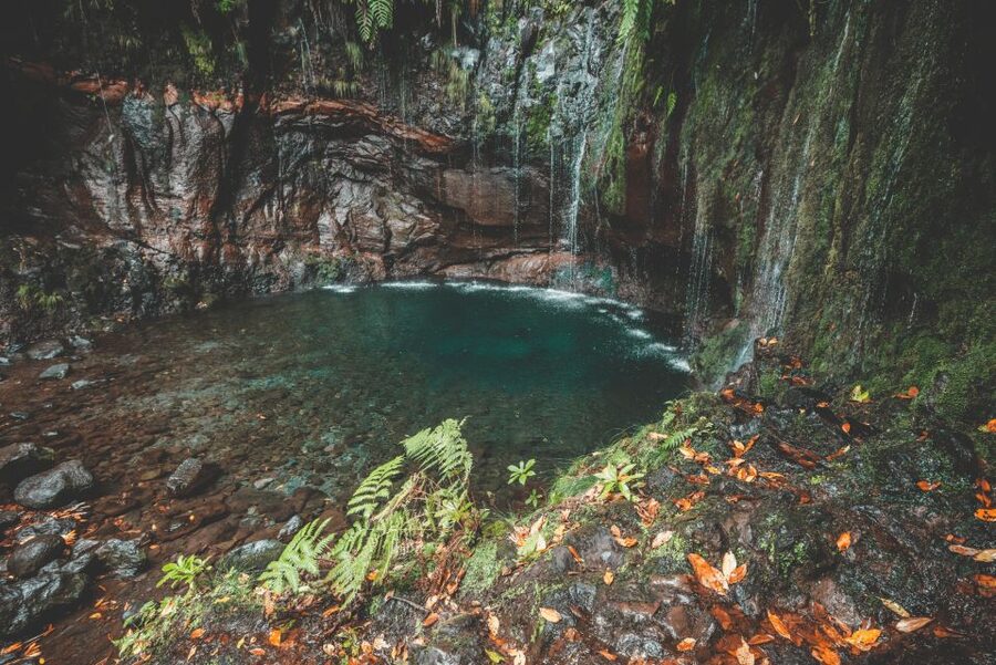 Madeira: Rabaçal Valley and the 25 Fountains Hike - What the guide adds to the walk