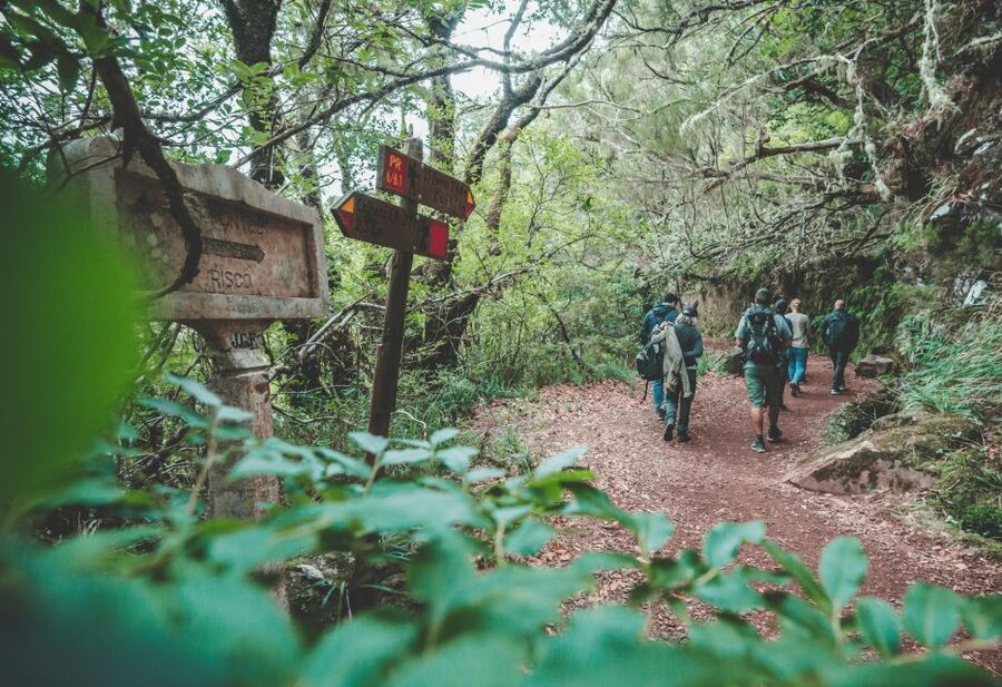Madeira: Rabaçal Valley and the 25 Fountains Hike - Who should book this Madeira hike?