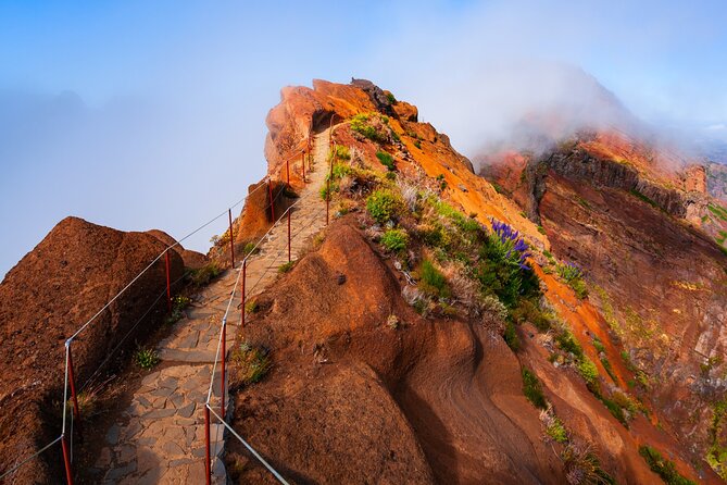 Madeira Stairway to Heaven to Larano Hike Mountain to Sea - Five things to know before booking