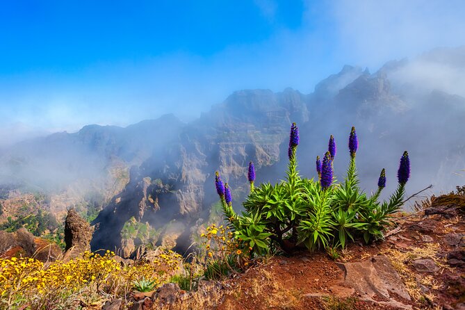 Madeira Stairway to Heaven to Larano Hike Mountain to Sea - Starting in Funchal and heading into the mountains