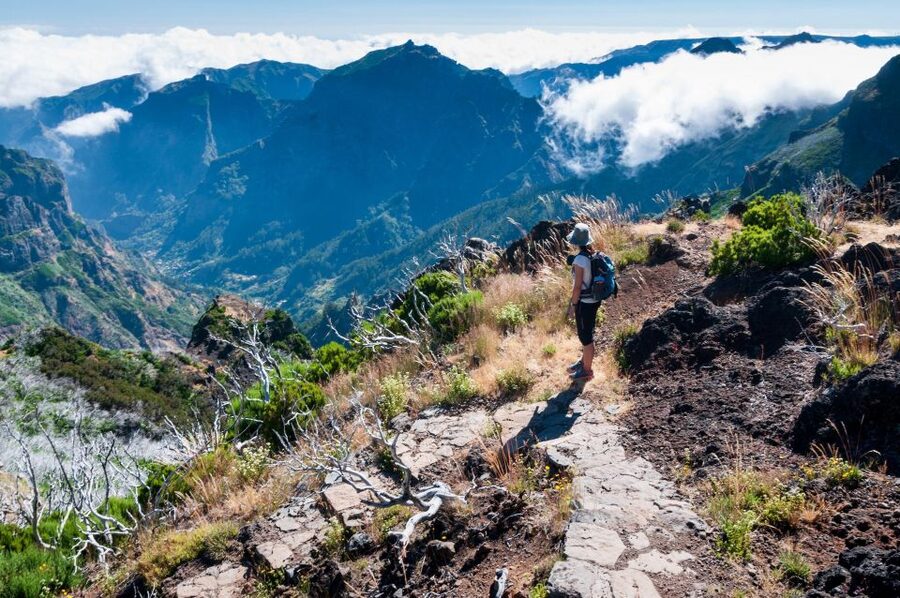 Madeira Stairway to Heaven to Larano Hike Mountain to Sea - Transport, timing, and what the $88 covers