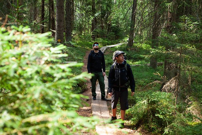 Magical Taiga Forest Hike with Lunch and Transportation - Lunch beside the lake, cooked over a fire