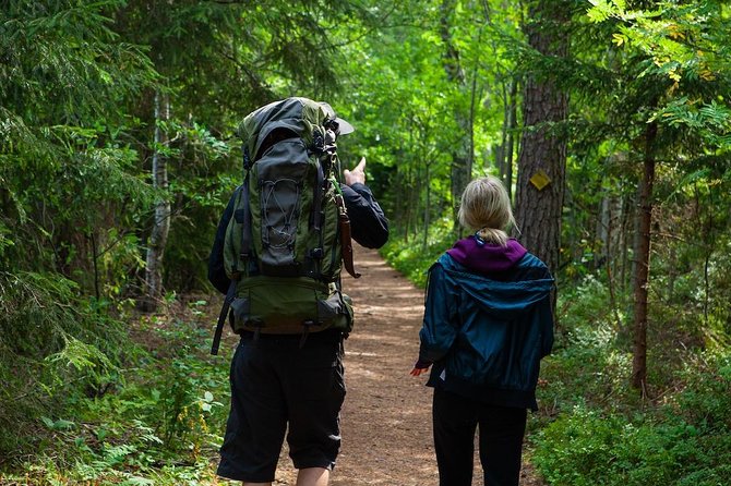 Magical Taiga Forest Hike with Lunch and Transportation - Is the $187.53 price good value?
