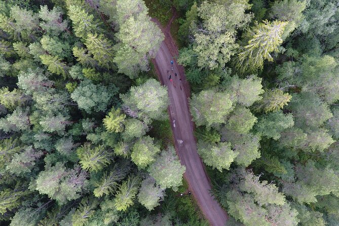 Magical Taiga Forest Hike with Lunch and Transportation - Who should book this forest day?