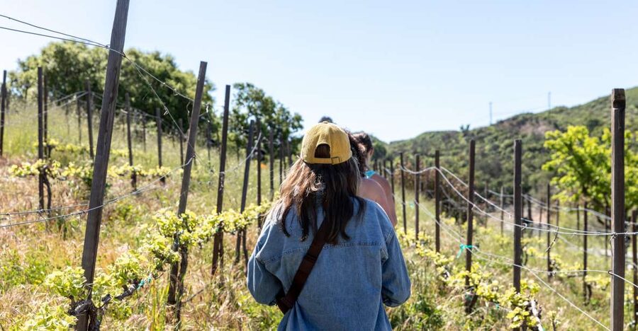 Malibu: Guided Vineyard Hike with Photo Stops and Wine - The Chumash cave paintings