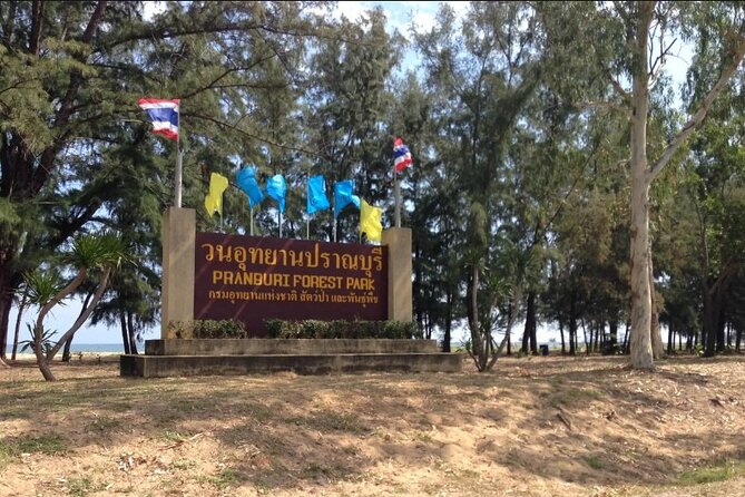 Mangrove Forest Hike and River Boat Ride with Private Guide from Hua Hin - What the $117.21 price really covers